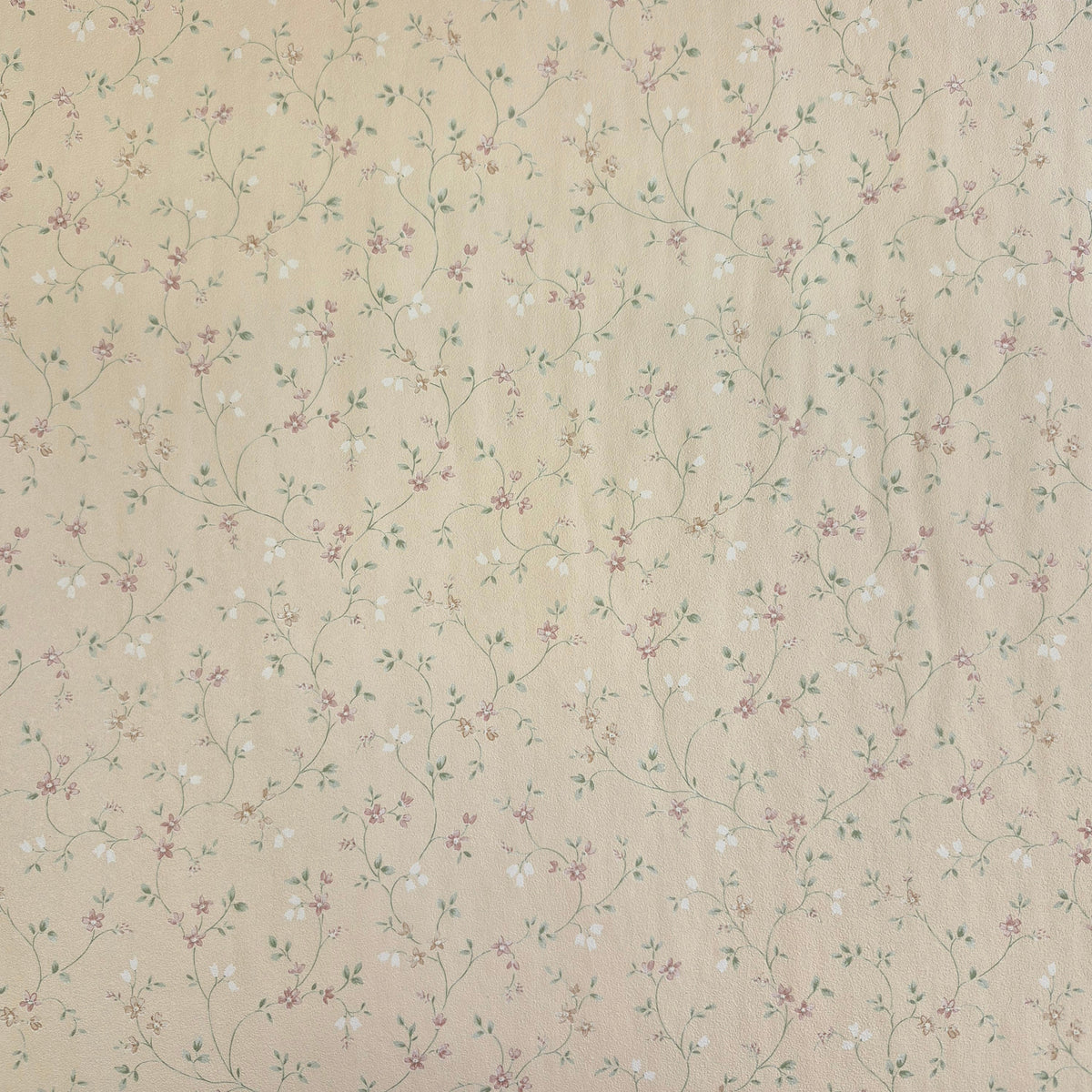 Delicate Pink Flowers on Ecru Background - Wallpaper