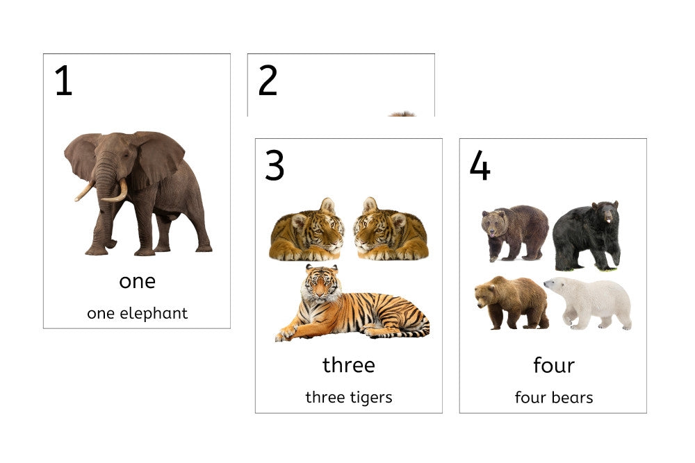 Animal Number Cards 1-20 (Large, PDF)